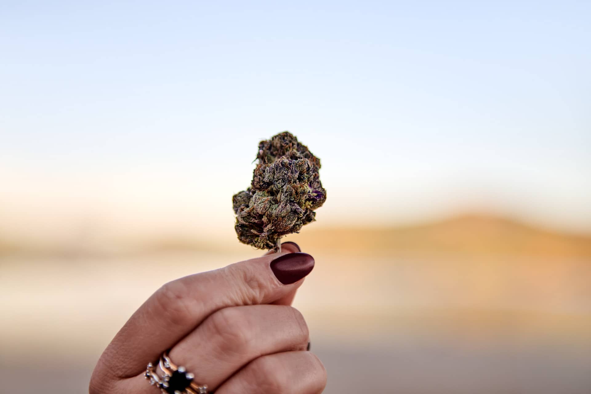 Indica Strains