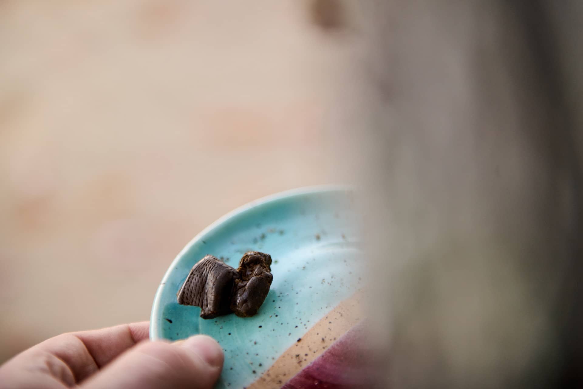 Hash