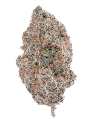 BC 5A Purple Smores  | Exotic - 14G